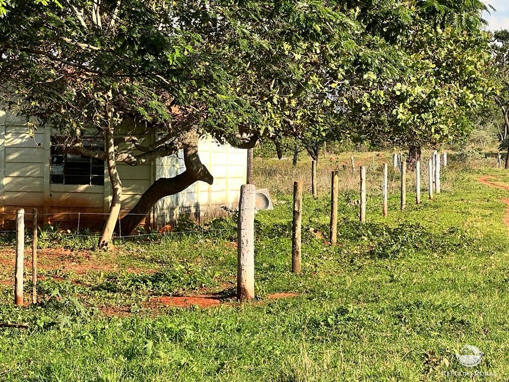 Fazenda à venda com 3 quartos, 683000m² - Foto 18