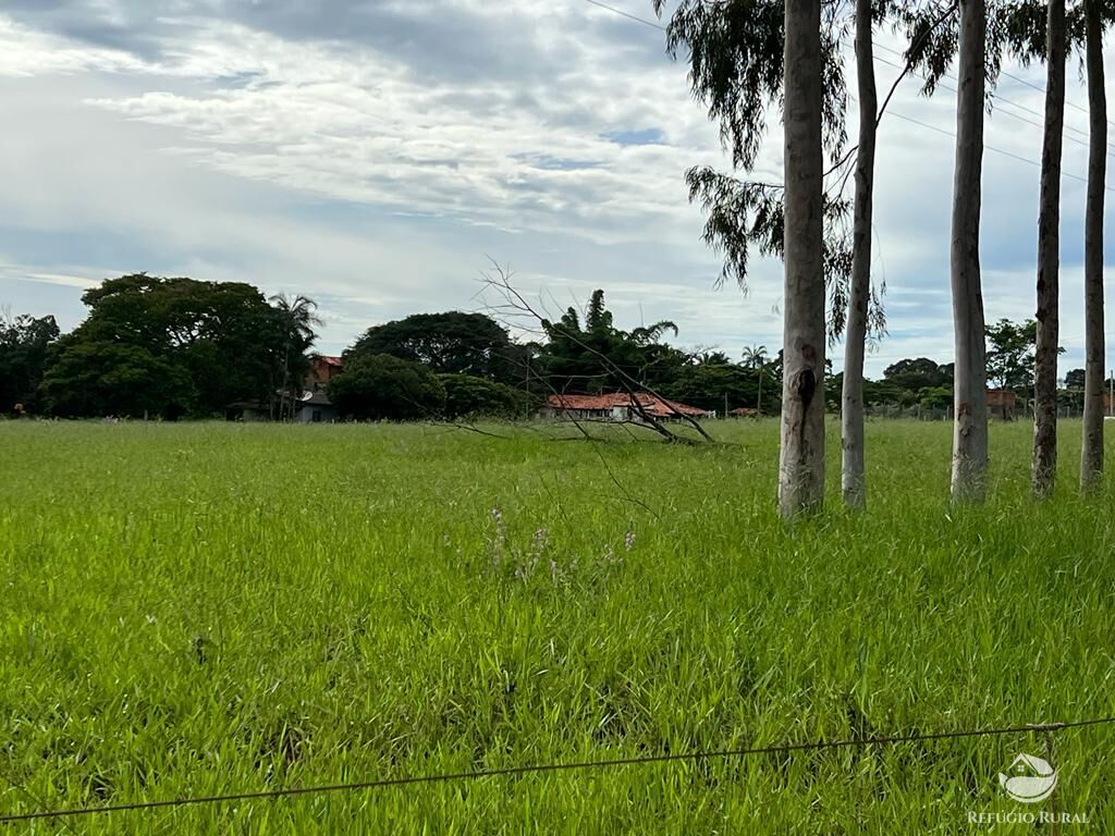 Fazenda à venda com 3 quartos, 683000m² - Foto 17