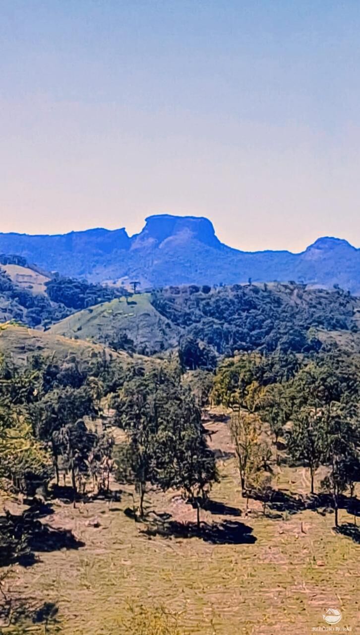 Terreno, 3 hectares - Foto 4