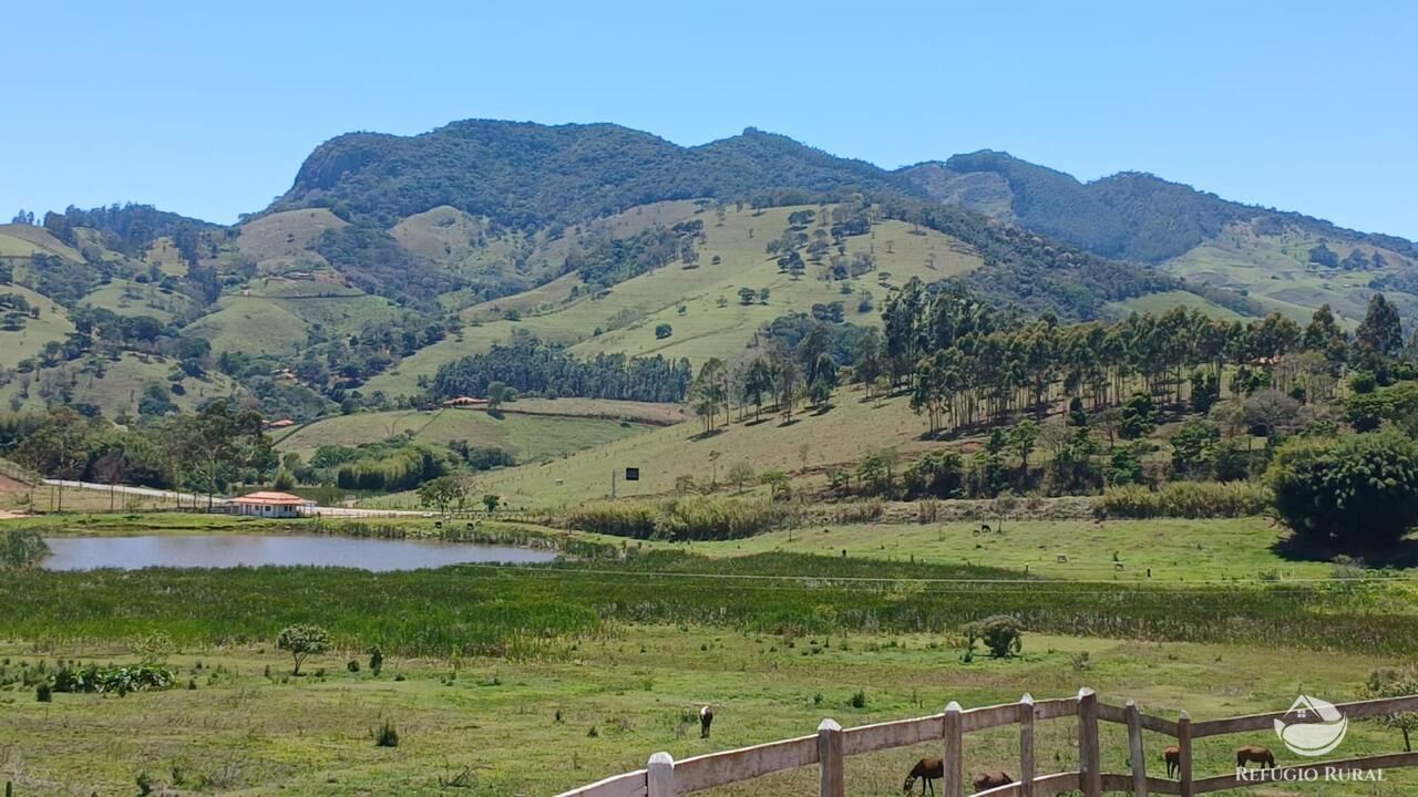 Terreno, 3 hectares - Foto 6