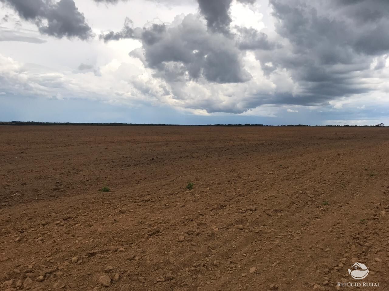 Fazenda à venda com 2 quartos, 41000000m² - Foto 8