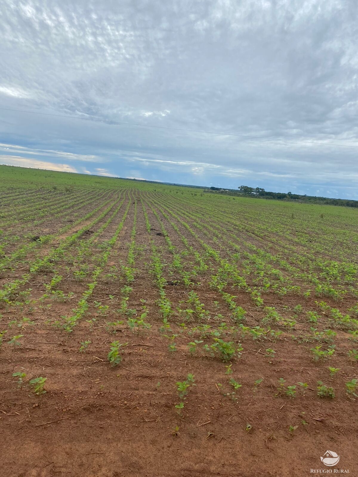 Fazenda à venda com 2 quartos, 41000000m² - Foto 13