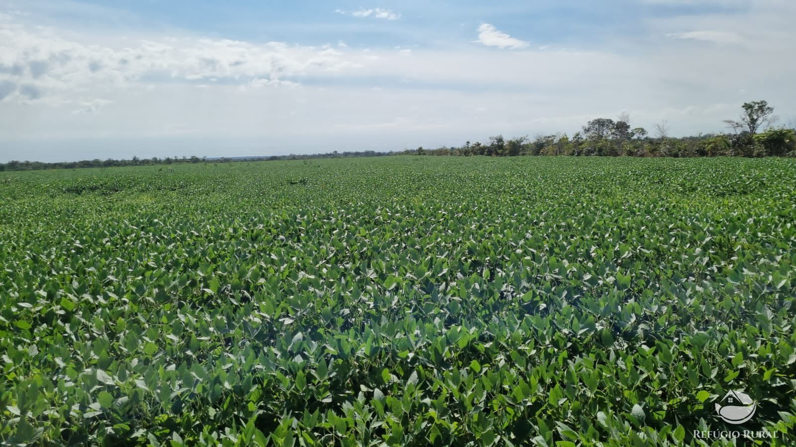 Fazenda à venda com 2 quartos, 41000000m² - Foto 3