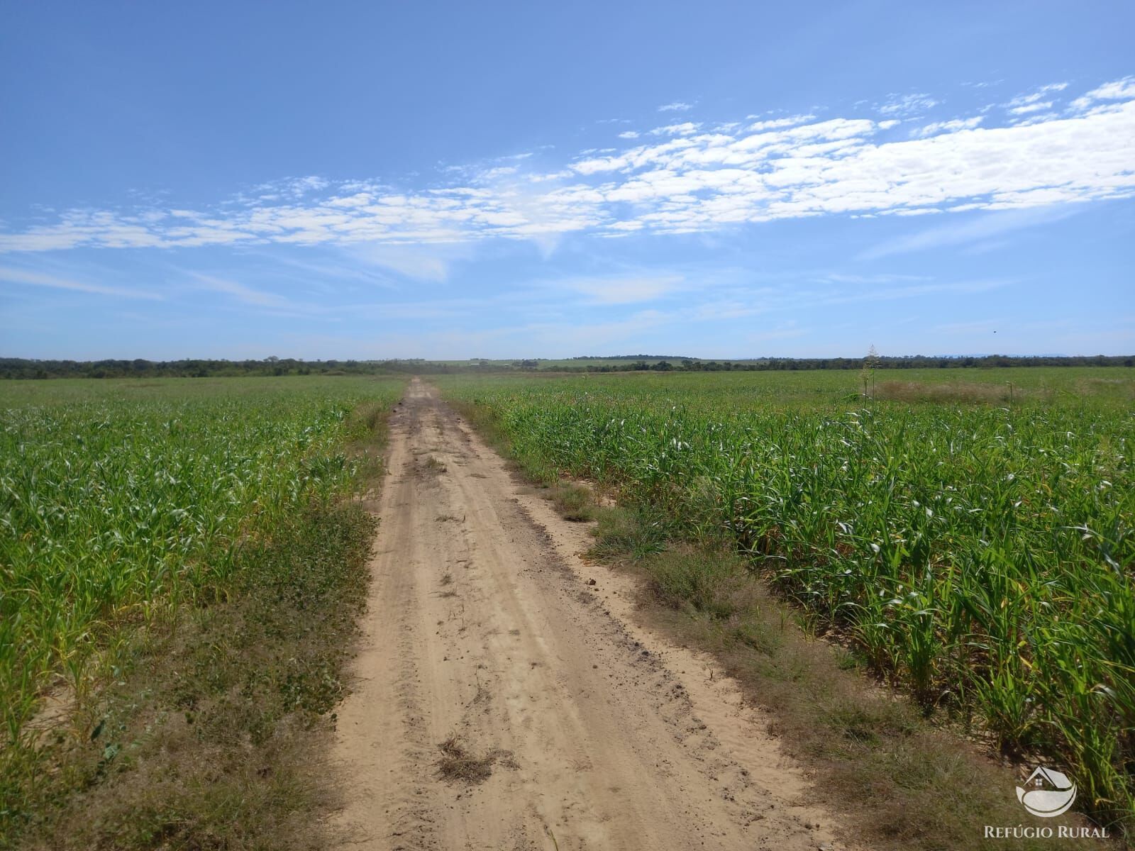 Fazenda à venda com 2 quartos, 41000000m² - Foto 11