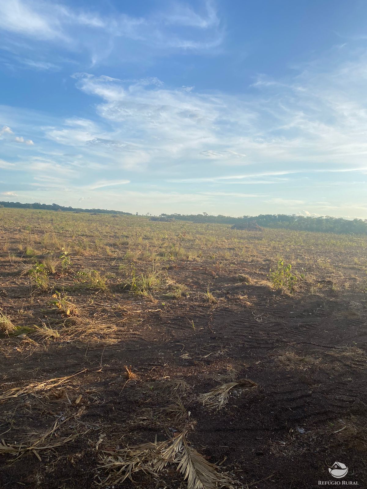 Fazenda à venda com 2 quartos, 41000000m² - Foto 12