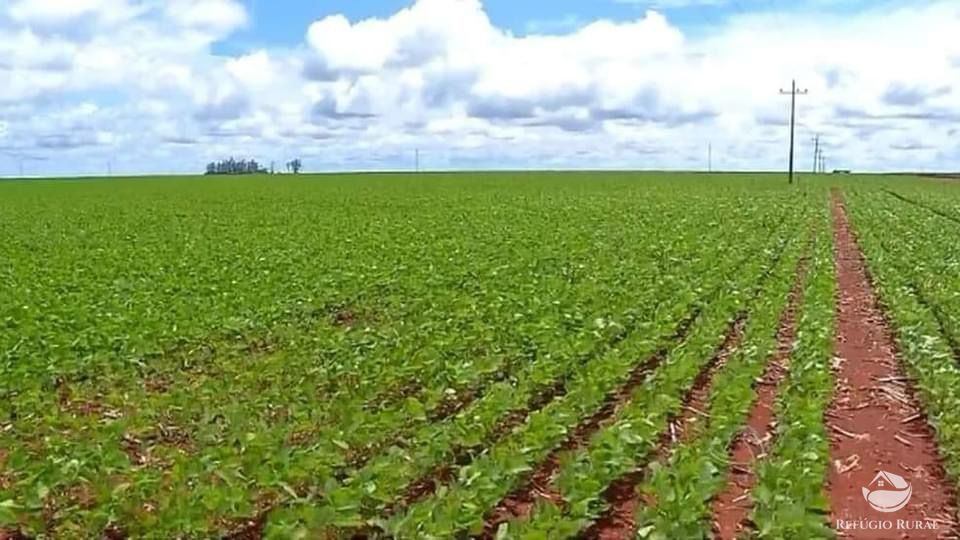 Fazenda à venda com 2 quartos, 41000000m² - Foto 4