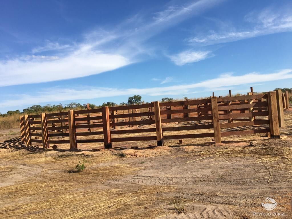 Fazenda à venda com 2 quartos, 41000000m² - Foto 6