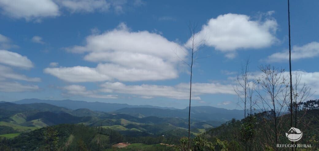 Terreno à venda, 20000m² - Foto 2