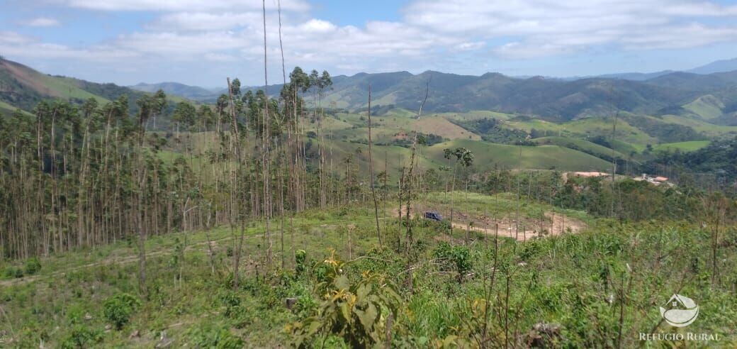 Terreno à venda, 20000m² - Foto 9