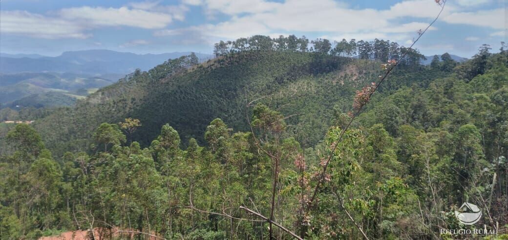 Terreno à venda, 20000m² - Foto 5