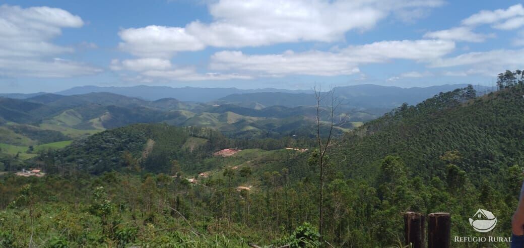 Terreno à venda, 20000m² - Foto 3