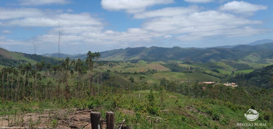 Terreno à venda, 20000m² - Foto 6