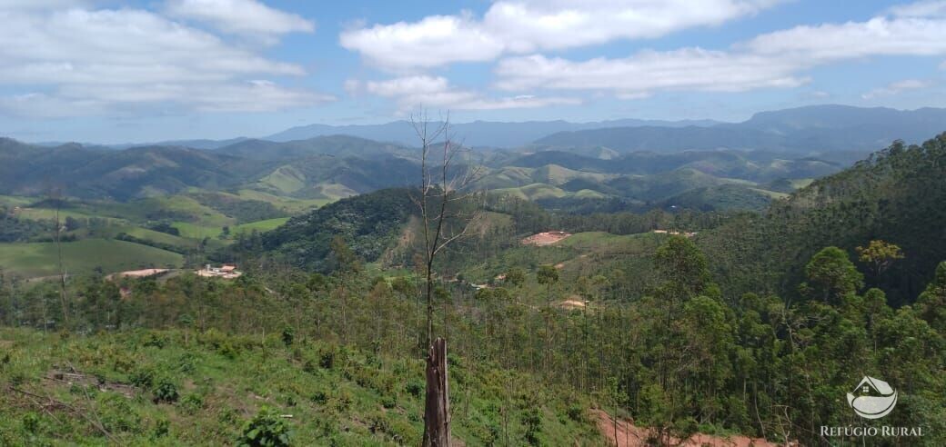 Terreno à venda, 20000m² - Foto 7