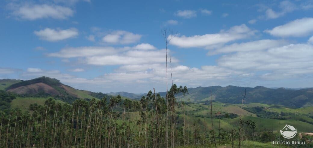 Terreno à venda, 20000m² - Foto 1