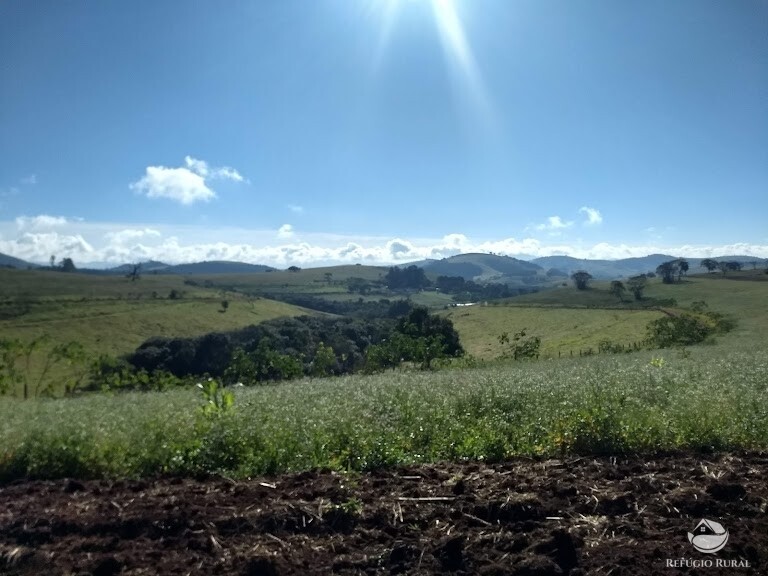 Fazenda à venda com 1 quarto, 3025000m² - Foto 12