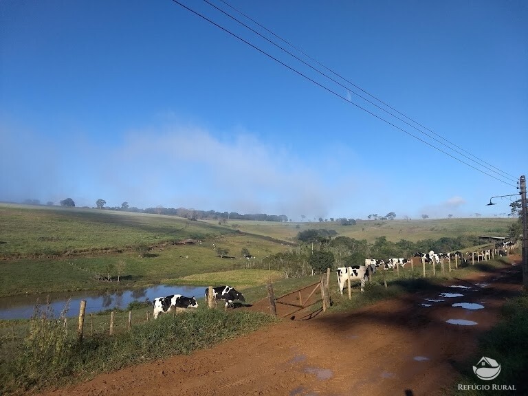 Fazenda à venda com 1 quarto, 3025000m² - Foto 1