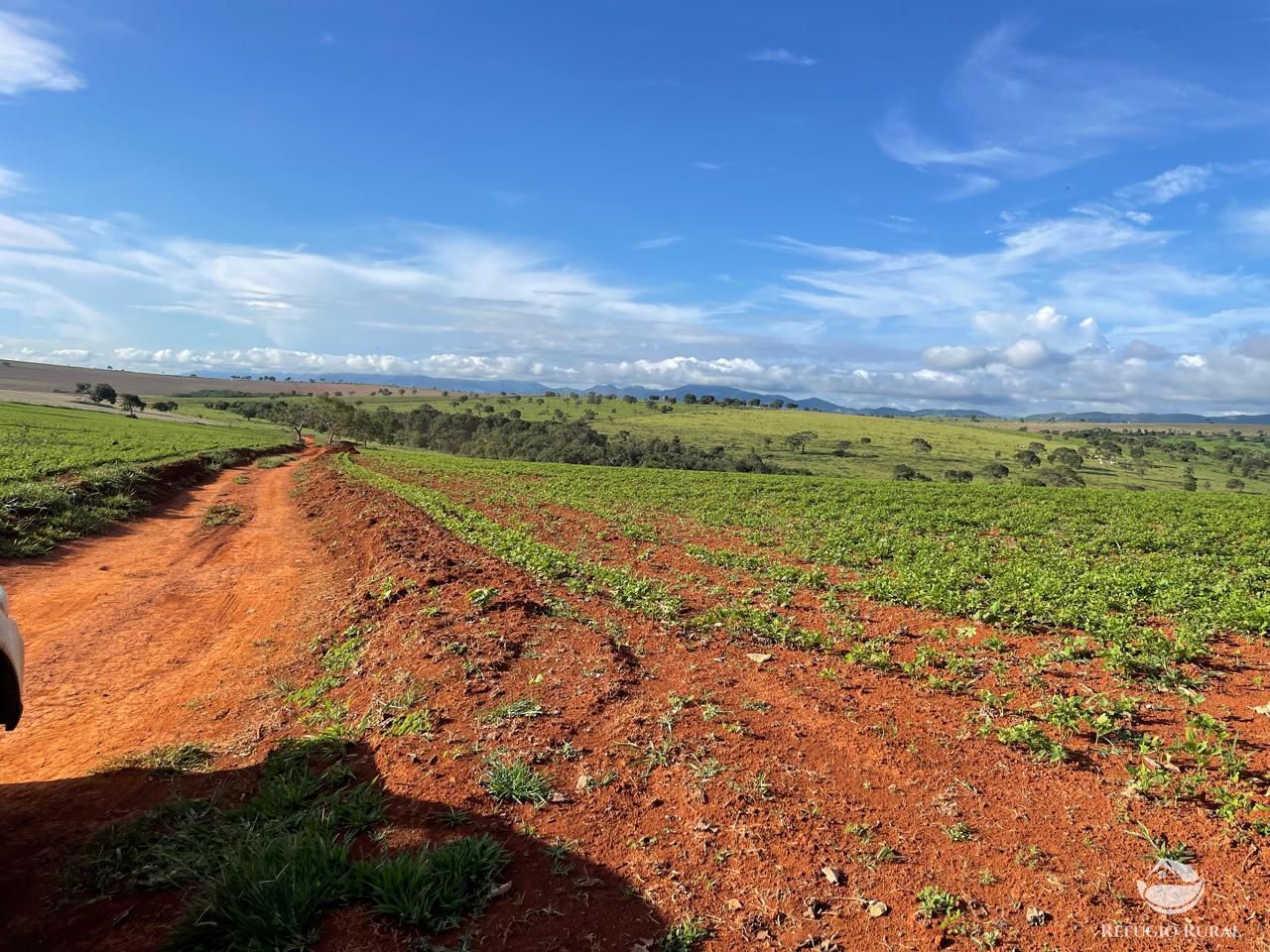 Fazenda, 1480 hectares - Foto 6