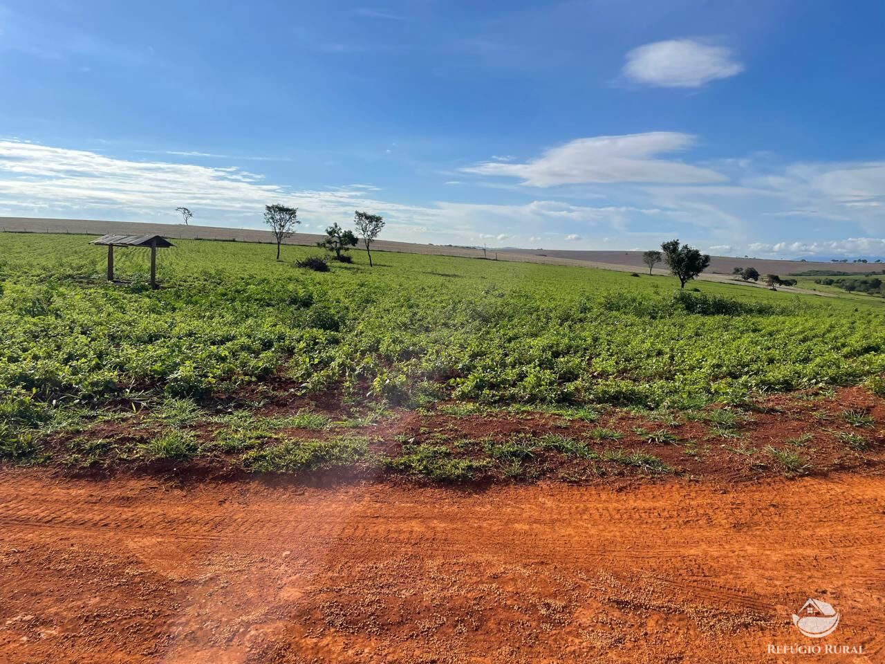 Fazenda, 1480 hectares - Foto 5