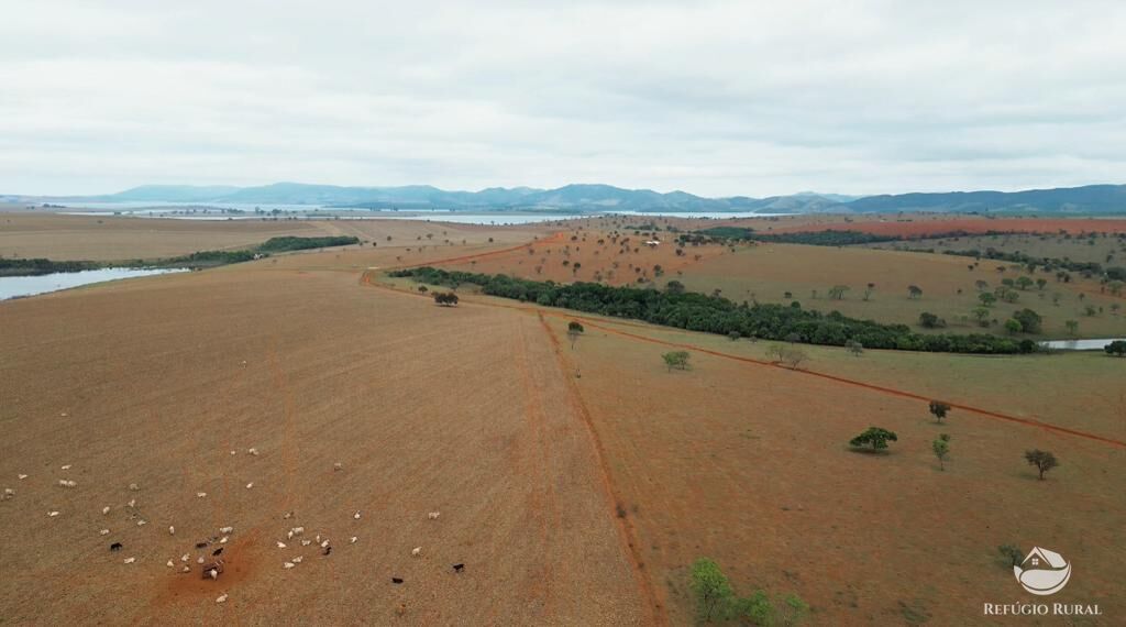 Fazenda, 1480 hectares - Foto 20