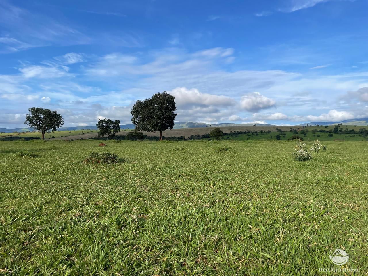 Fazenda, 1480 hectares - Foto 2