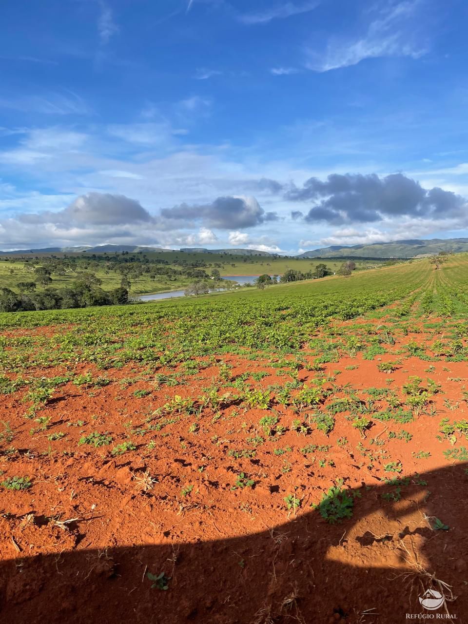 Fazenda, 1480 hectares - Foto 9