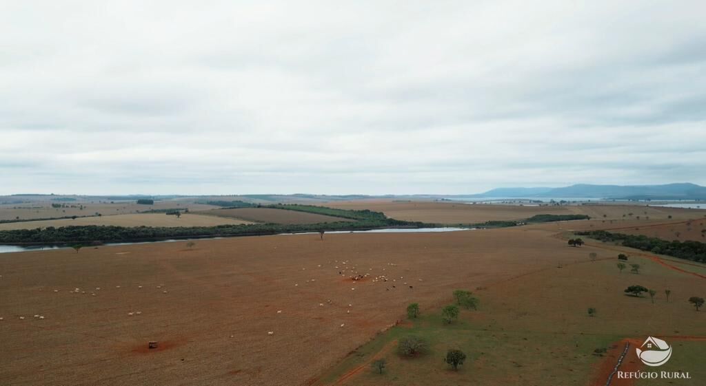 Fazenda, 1480 hectares - Foto 28