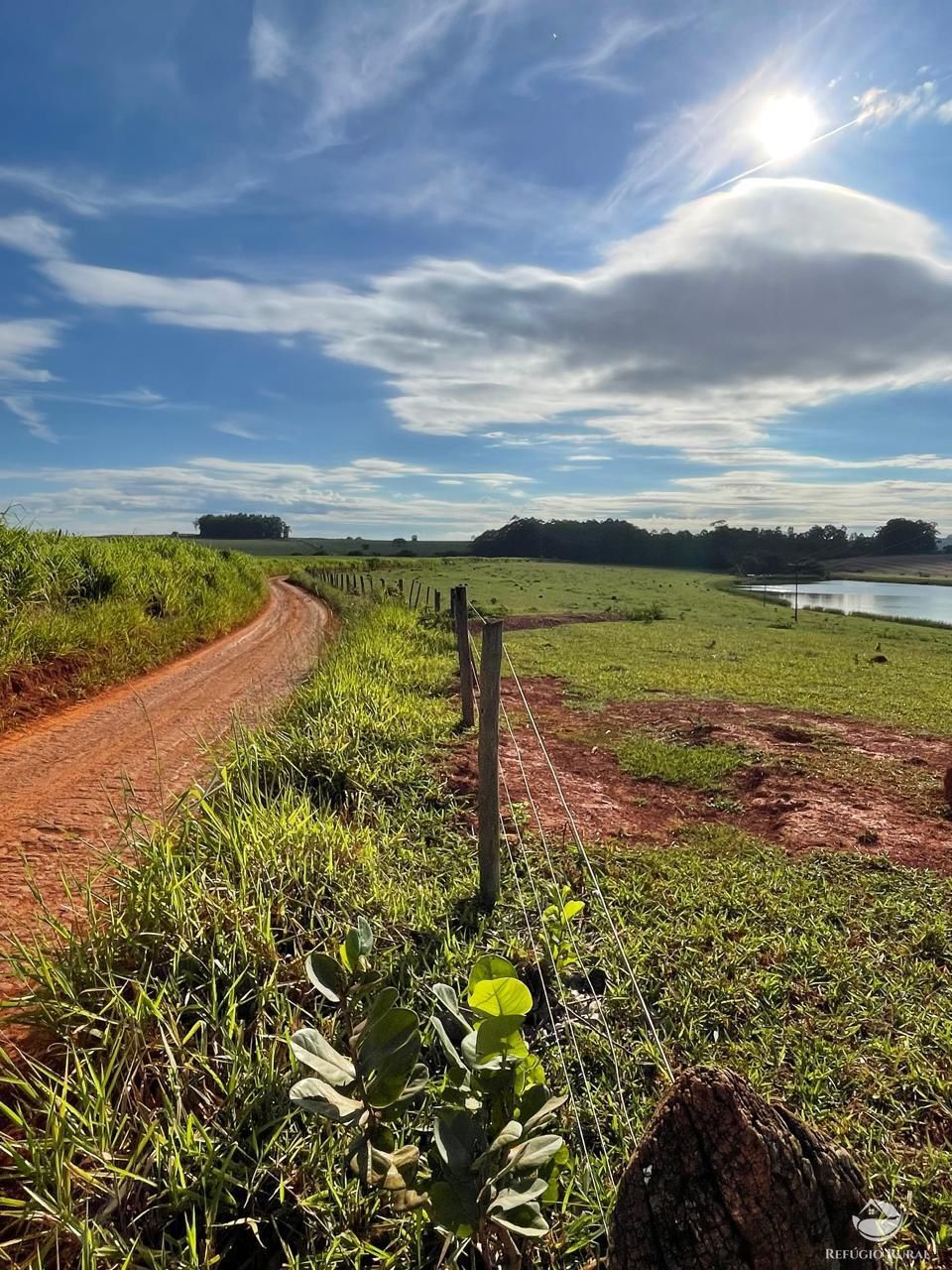 Fazenda, 1480 hectares - Foto 4