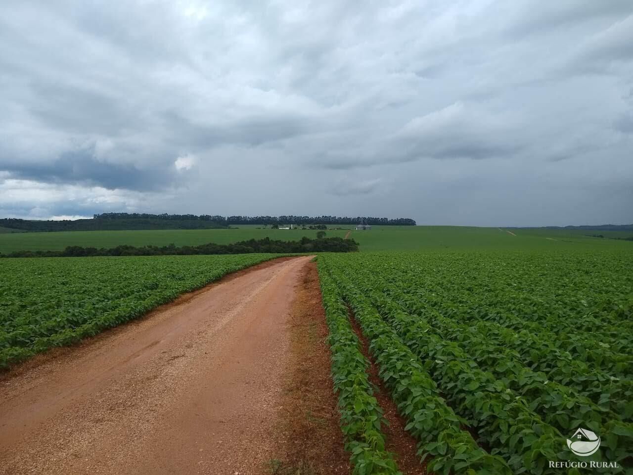 Fazenda, 1480 hectares - Foto 15