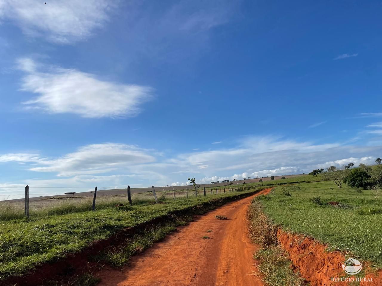 Fazenda, 1480 hectares - Foto 16