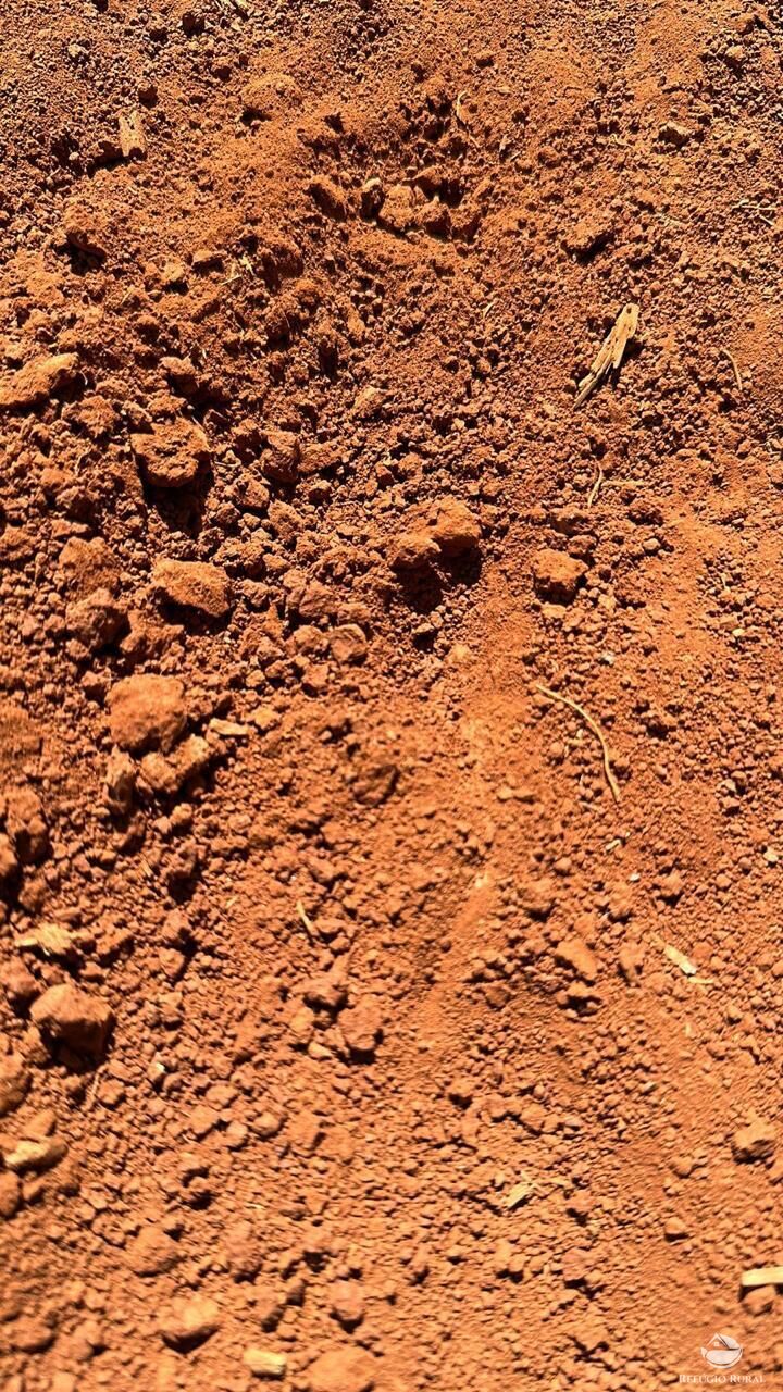 Fazenda, 1480 hectares - Foto 13