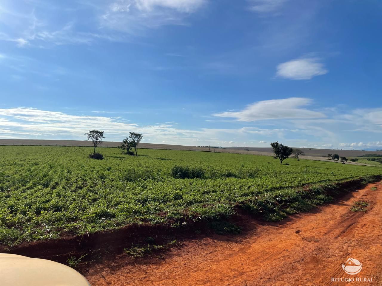 Fazenda, 1480 hectares - Foto 14