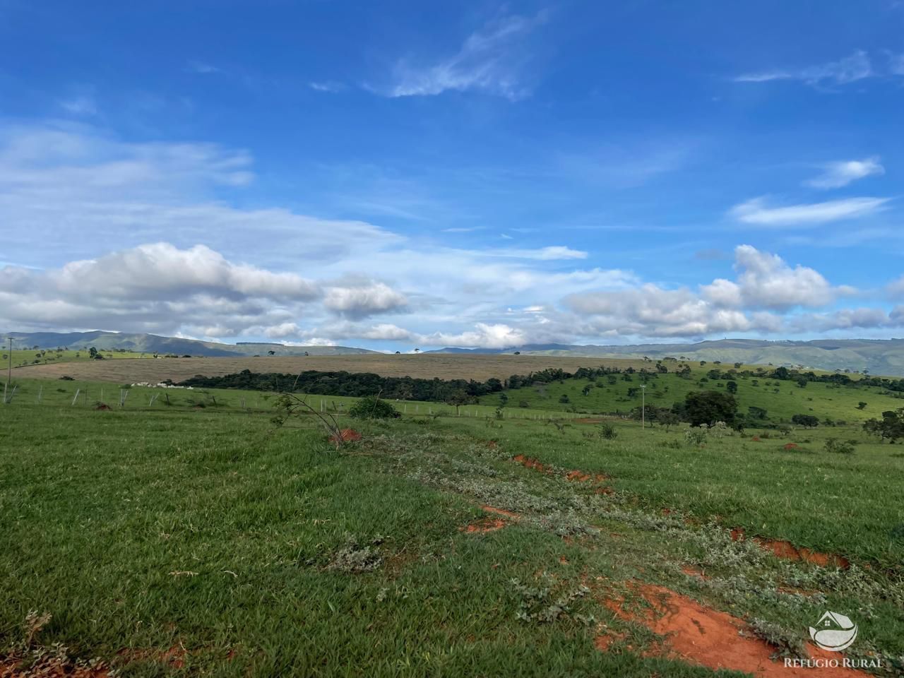 Fazenda, 1480 hectares - Foto 12