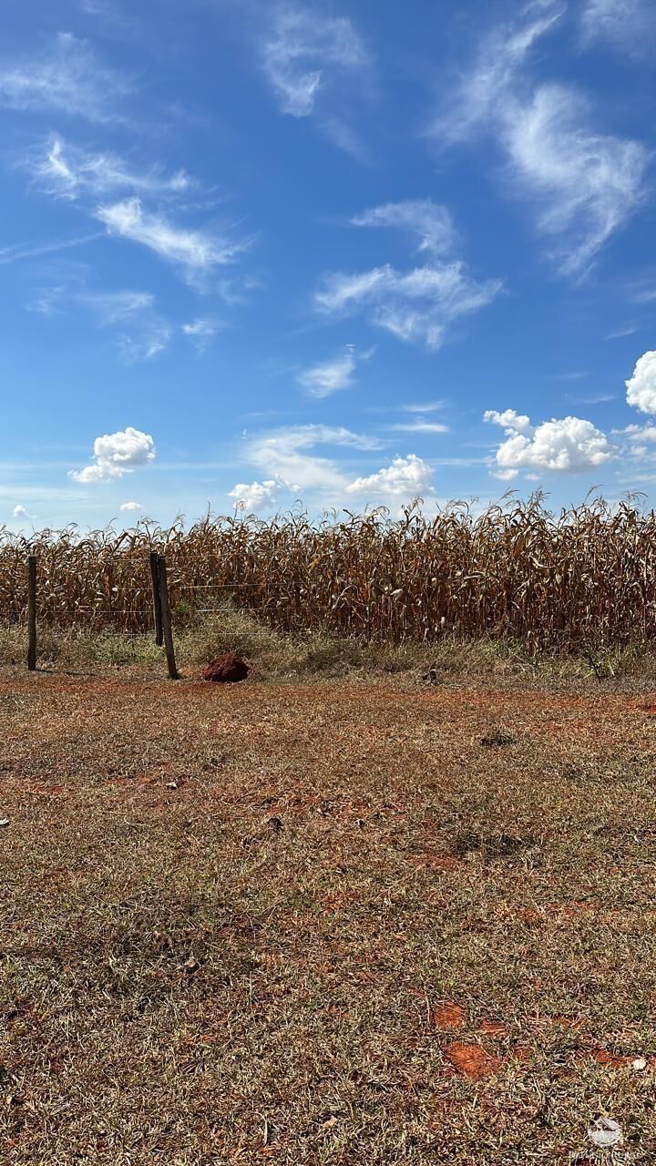 Fazenda, 1480 hectares - Foto 18
