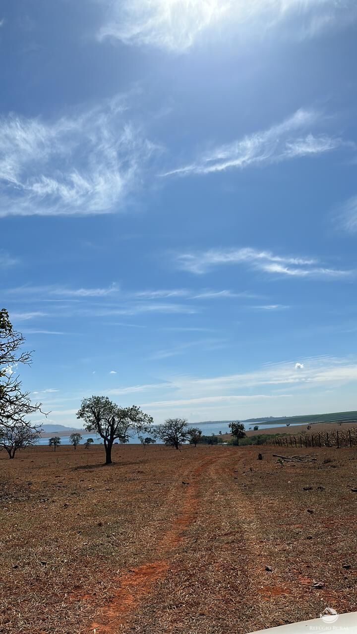 Fazenda, 1480 hectares - Foto 8