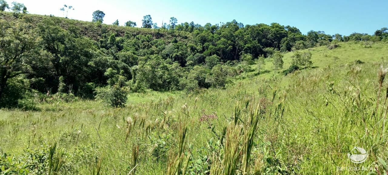 Fazenda à venda com 1 quarto - Foto 31