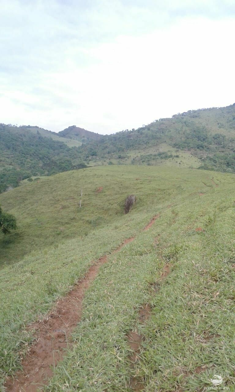 Fazenda à venda com 1 quarto - Foto 14