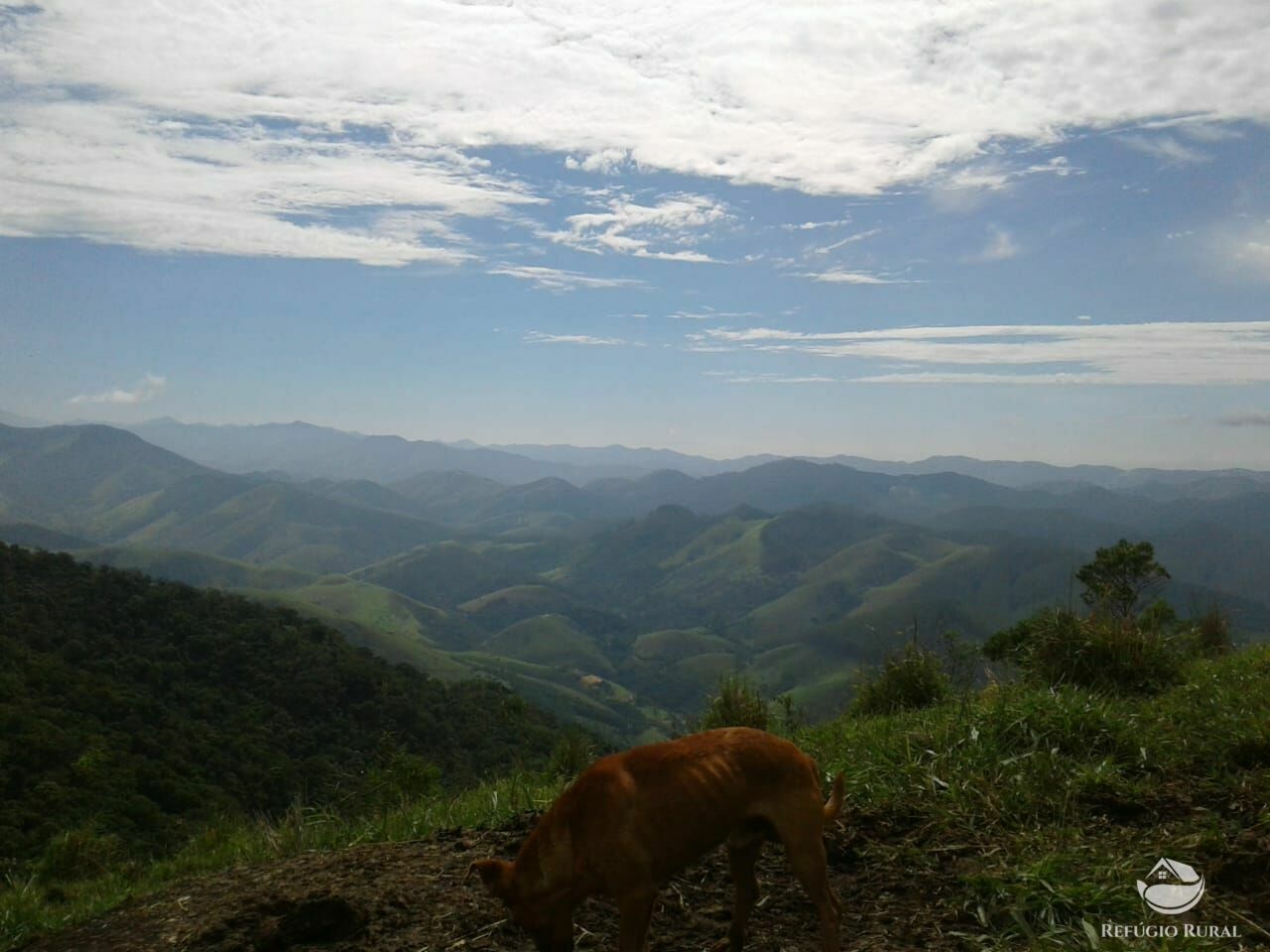 Fazenda à venda com 1 quarto - Foto 5