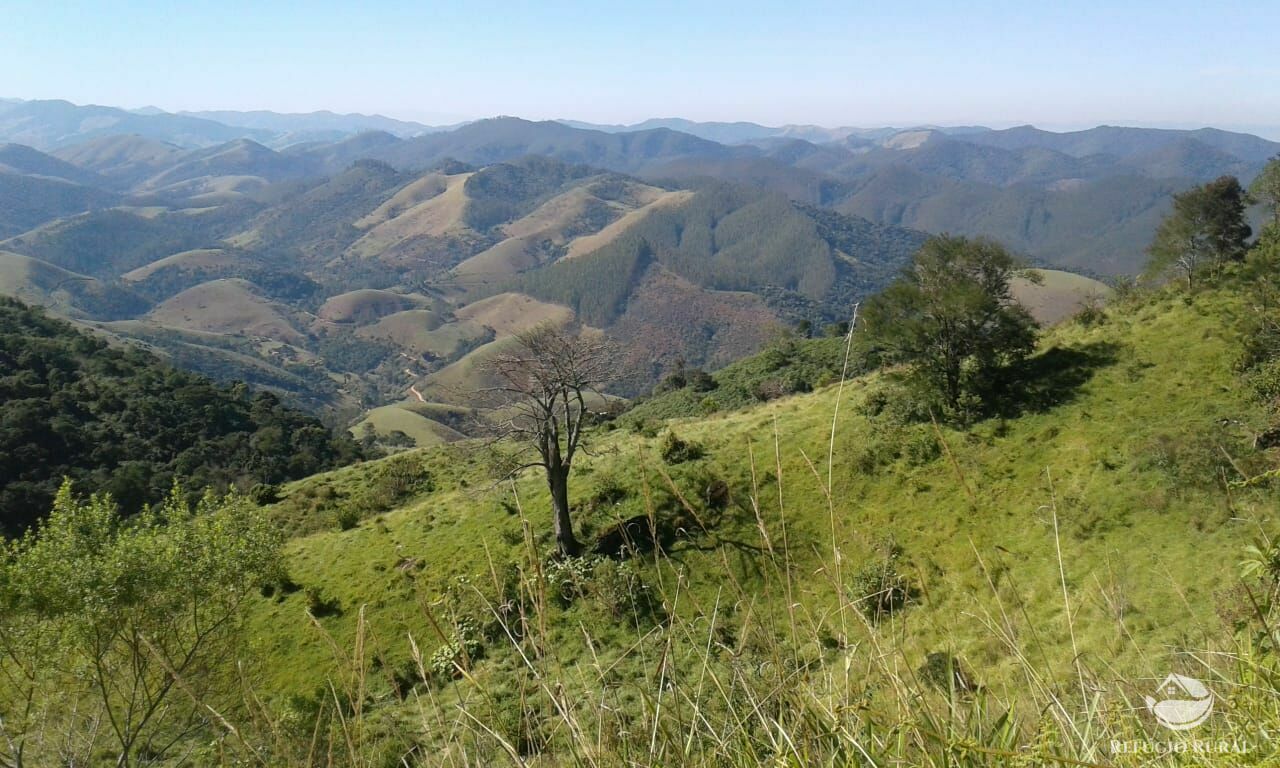 Fazenda à venda com 1 quarto - Foto 12