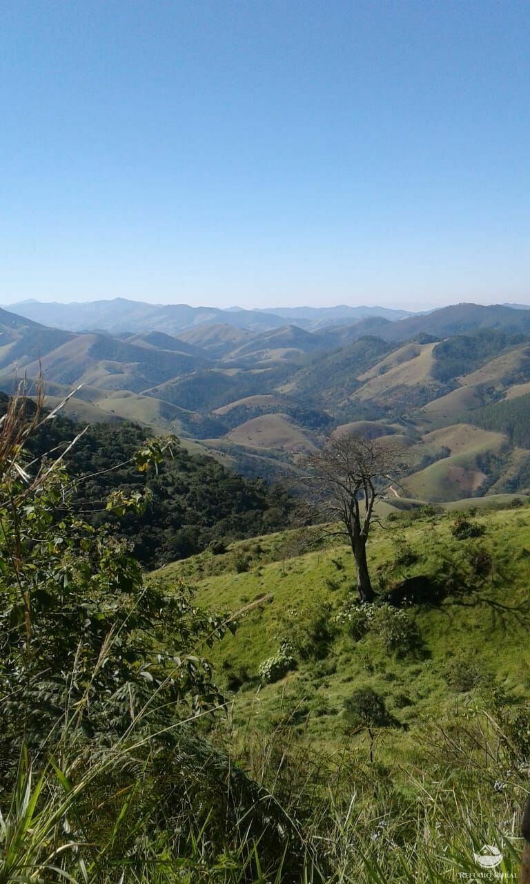 Fazenda à venda com 1 quarto - Foto 18