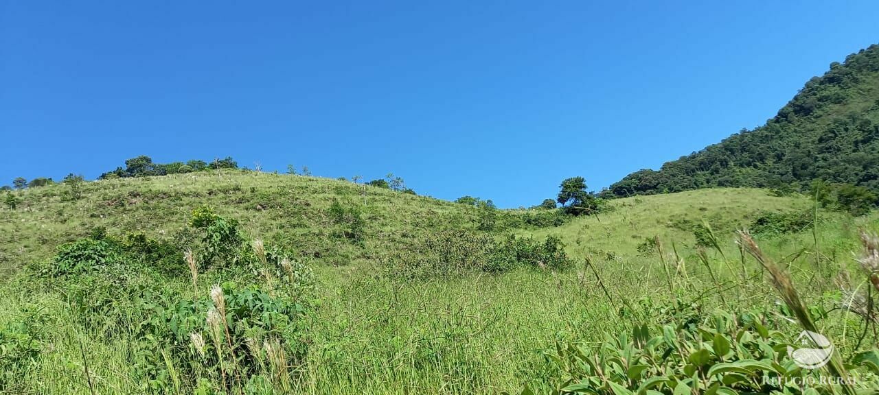 Fazenda à venda com 1 quarto - Foto 34