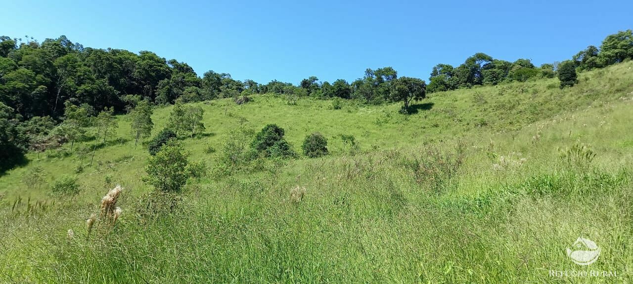 Fazenda à venda com 1 quarto - Foto 35