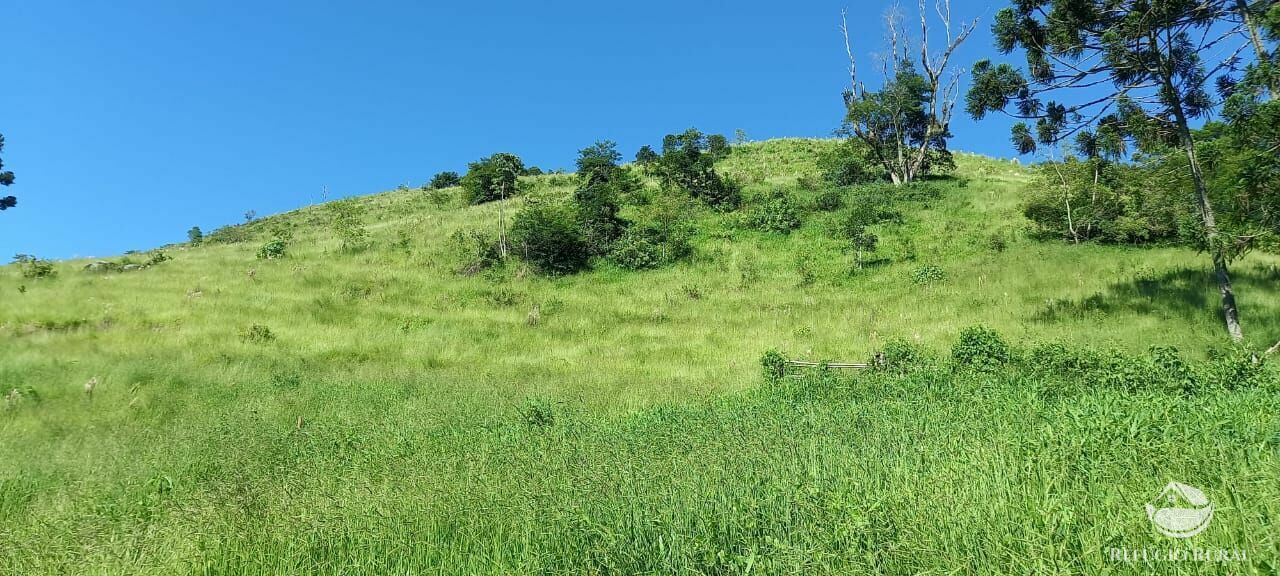 Fazenda à venda com 1 quarto - Foto 39