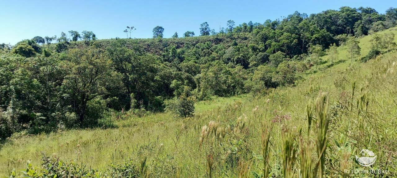 Fazenda à venda com 1 quarto - Foto 32