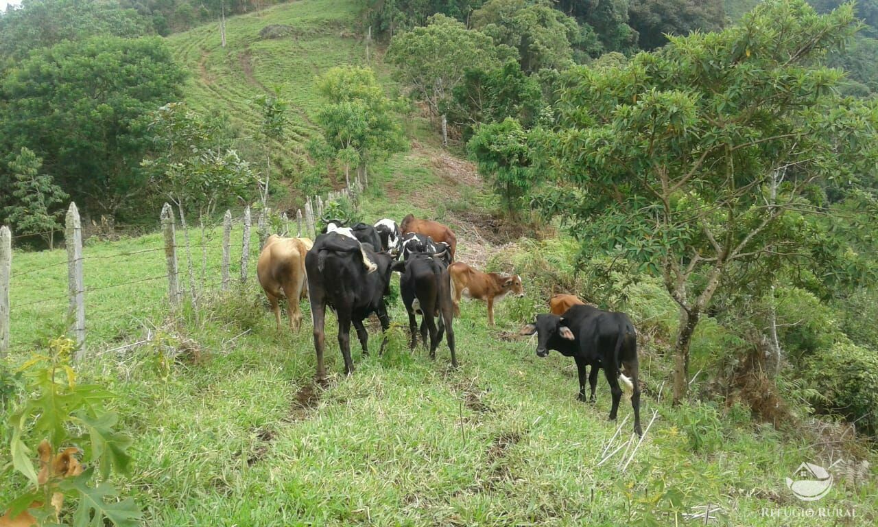 Fazenda à venda com 1 quarto - Foto 7