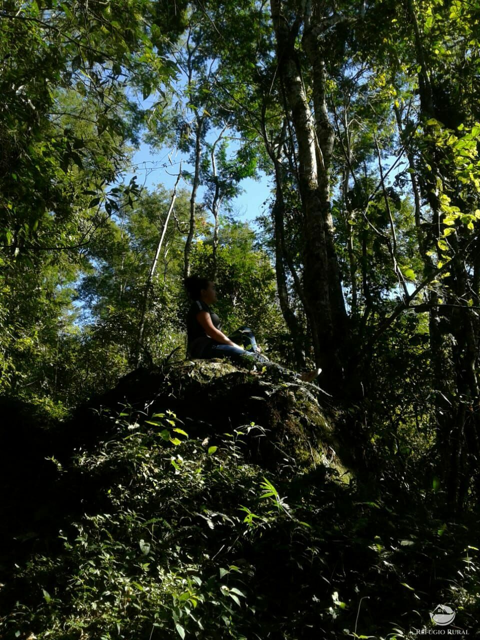 Fazenda à venda com 1 quarto - Foto 3