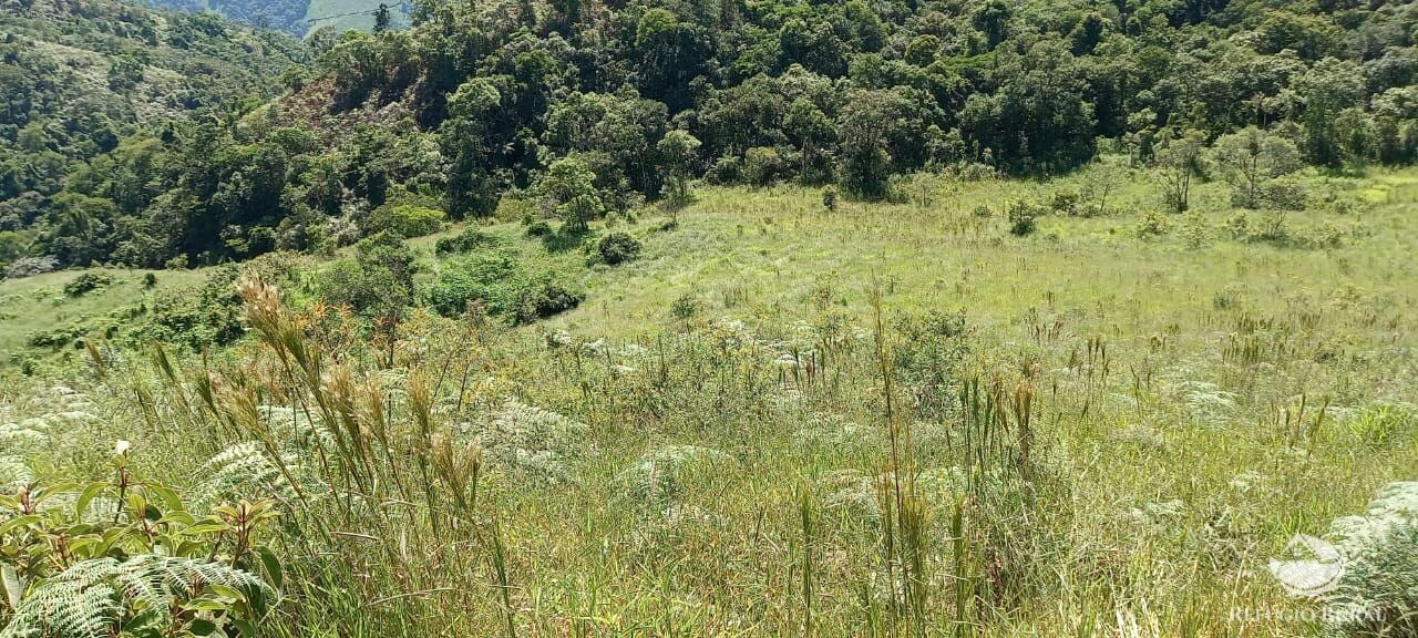 Fazenda à venda com 1 quarto - Foto 45