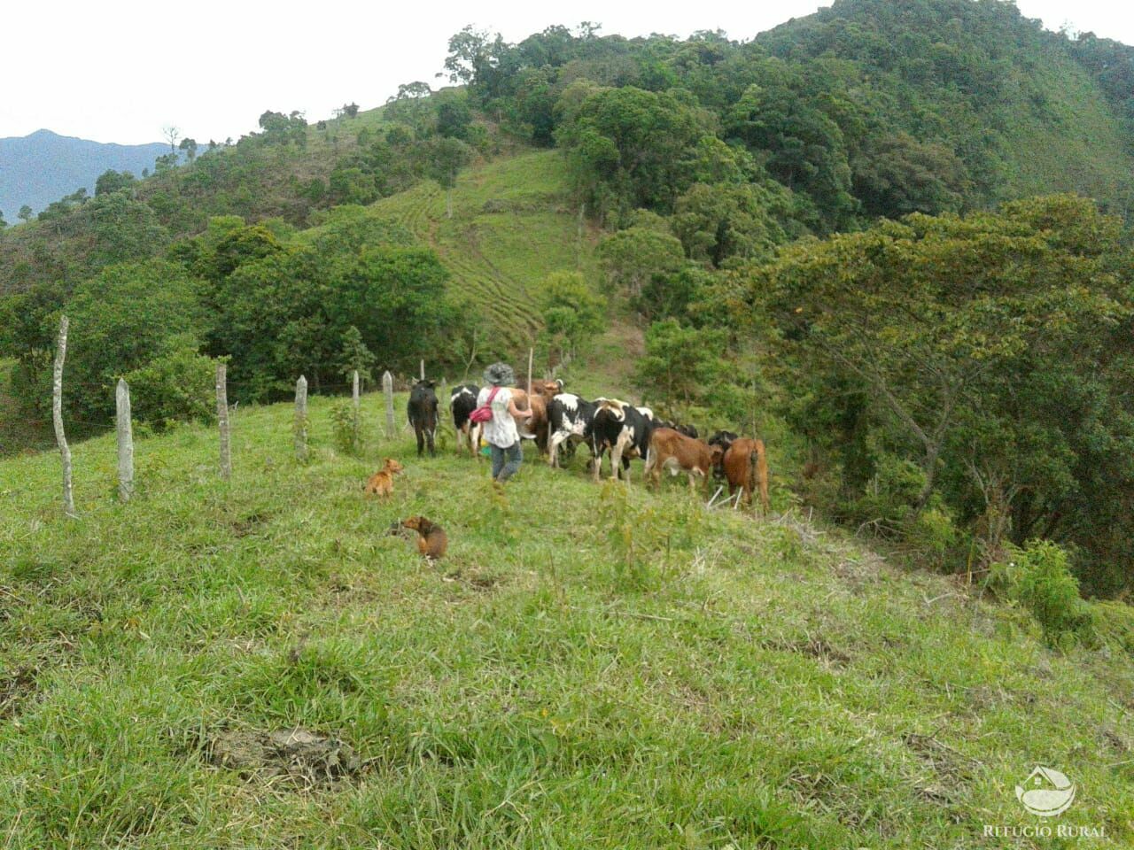 Fazenda à venda com 1 quarto - Foto 19