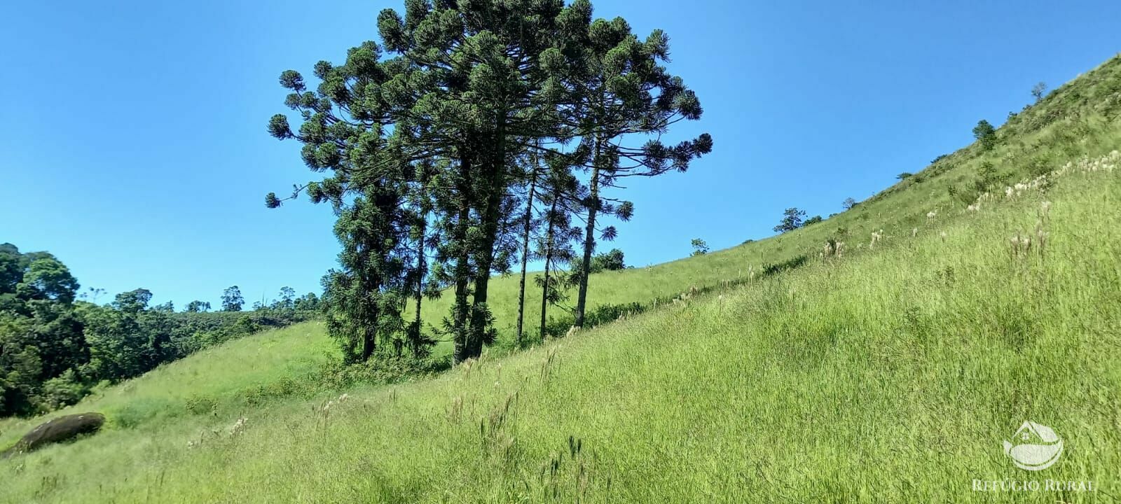 Fazenda à venda com 1 quarto - Foto 44