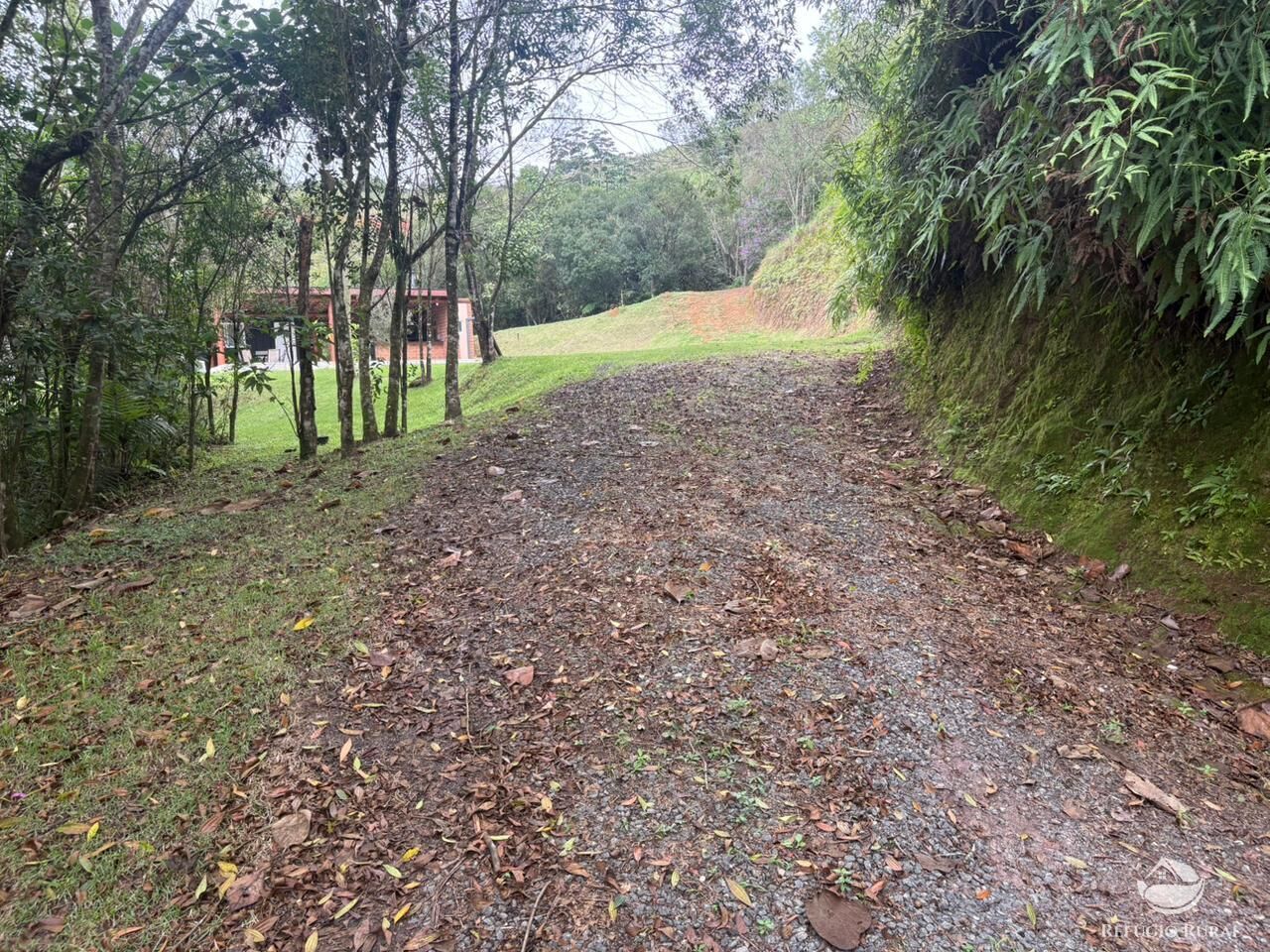 Chácara, 2 hectares - Foto 31