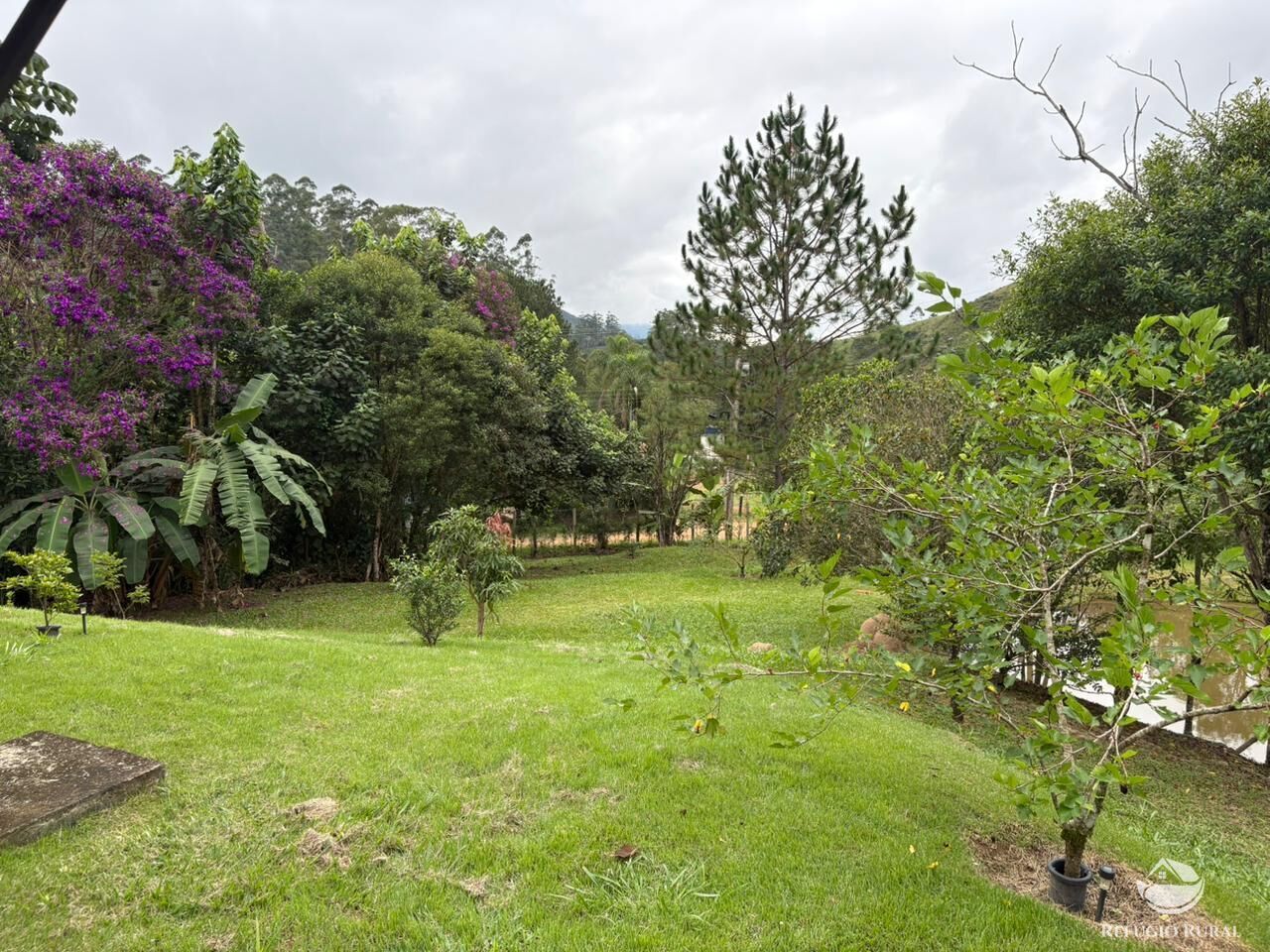 Chácara, 2 hectares - Foto 11